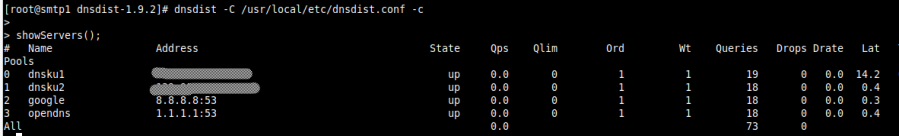 dnsdist-showservers.png